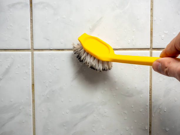 Certified Mold Removal in Hampden Sydney, VA