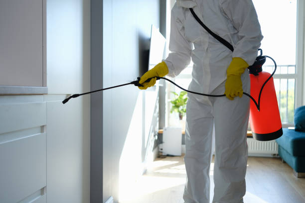 Best Home Mold Removal  in Hampden Sydney, VA