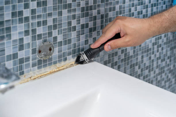 Best Emergency Mold Removal  in Hampden Sydney, VA