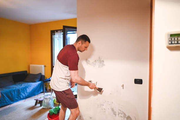 Best Fast Mold Removal  in Hampden Sydney, VA